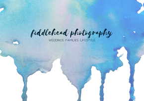Fiddlehead Photography